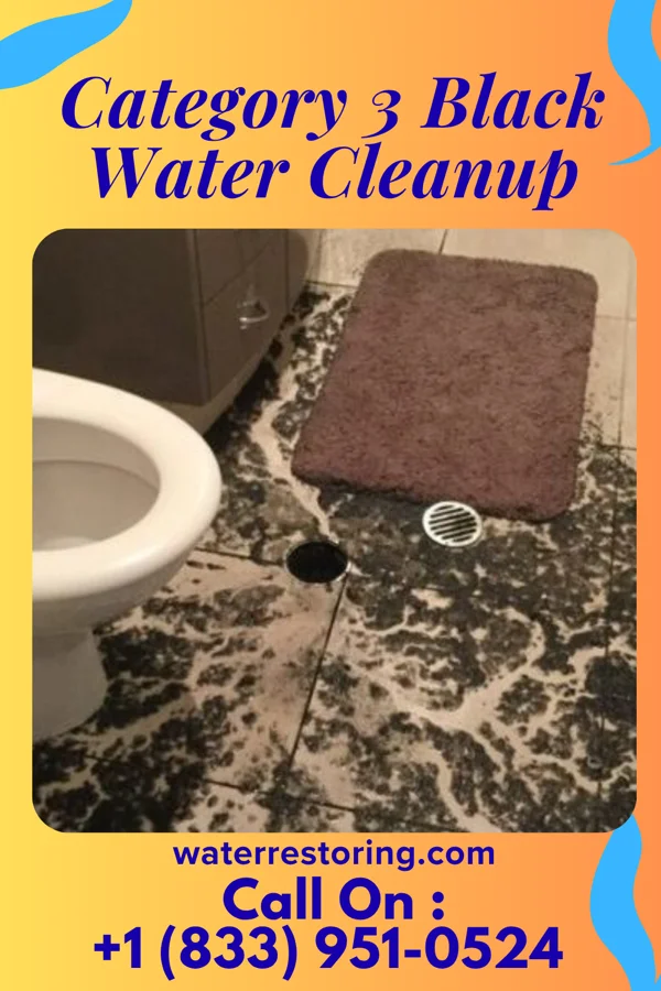Category 3 Black Water Cleanup in West Woodstock, VT