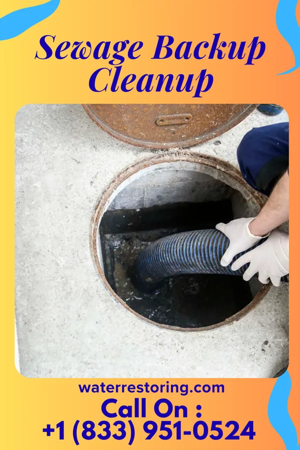 Sewage Backup Cleanup in West Woodstock, VT