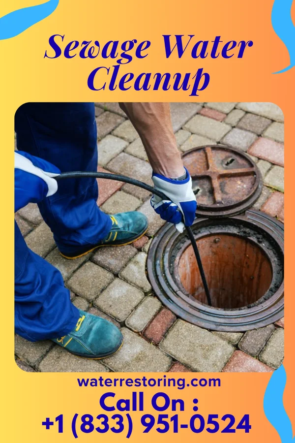 Sewage Water Cleanup in West Woodstock, VT